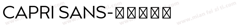 CAPRI SANS字体转换